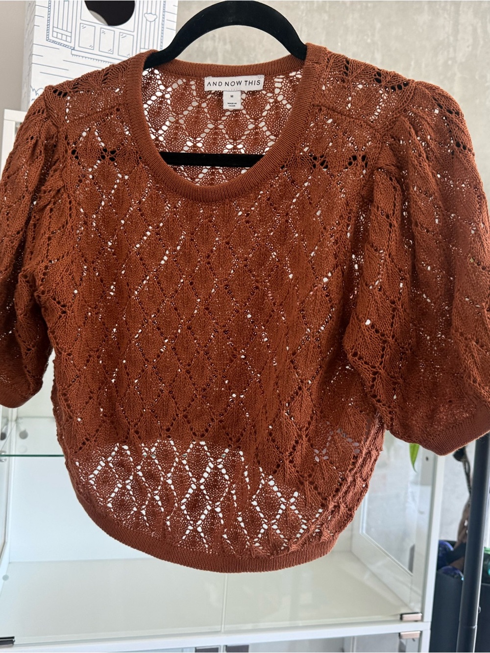 And Now This Rust Brown Openwork Puff-Sleeve Sweater
